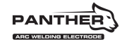 Panther